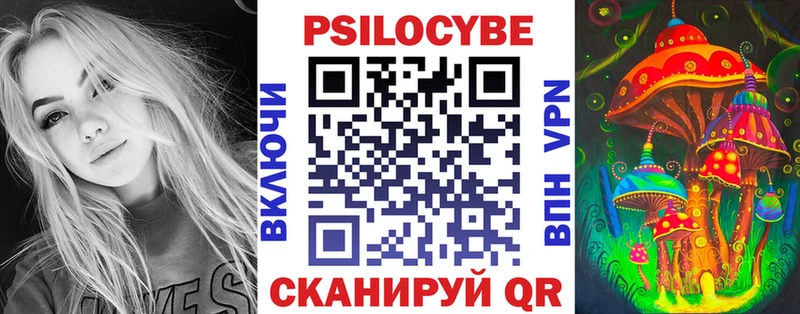 где продают   Славгород  гидра зеркало  сайты даркнета состав  Галлюциногенные грибы Psilocybine cubensis 