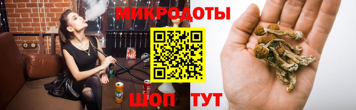Псилоцибиновые грибы мухоморы Славгород