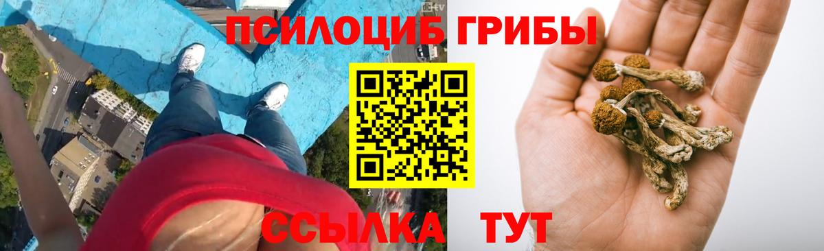 Славгород  Псилоцибиновые грибы Magic Shrooms  Галлюциногенные грибы Psilocybine cubensis  Вход с VPN 
