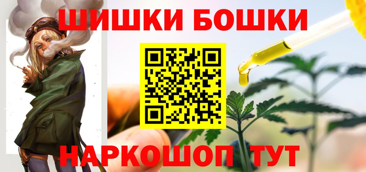 Бошки Шишки планчик Славгород